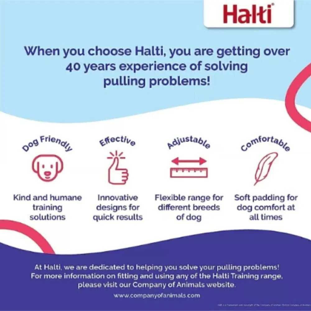 Halti control dog
